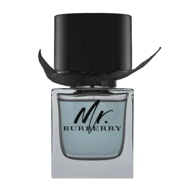 Burberry Mr. Burberry Eau de Toilette for men 50 ml