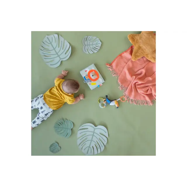 Παιχνίδι Ανάπτυξης Taf Toys Savanah Tummy -Time Book T-12705 3