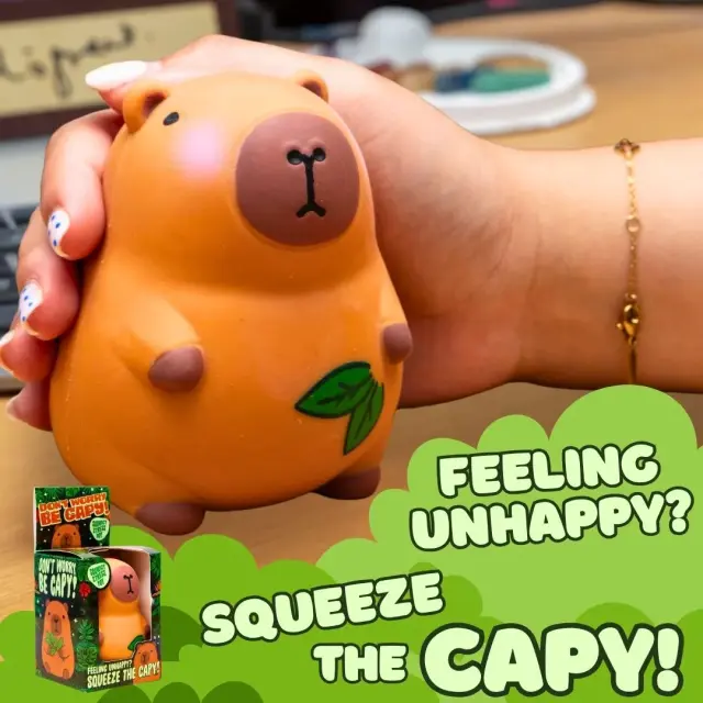 Boxer Gifts Squishy Stress Toy: Capybara 3