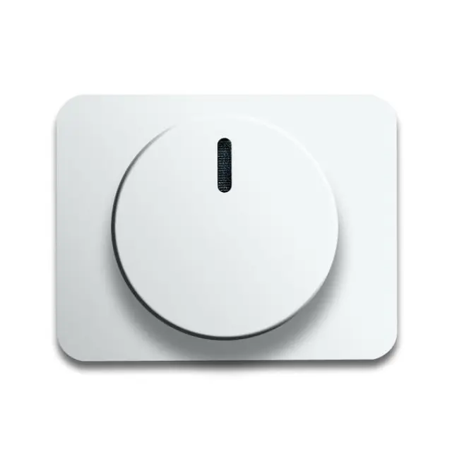 6540-24G CoverPlates (partly incl. Insert) carat® Studio white