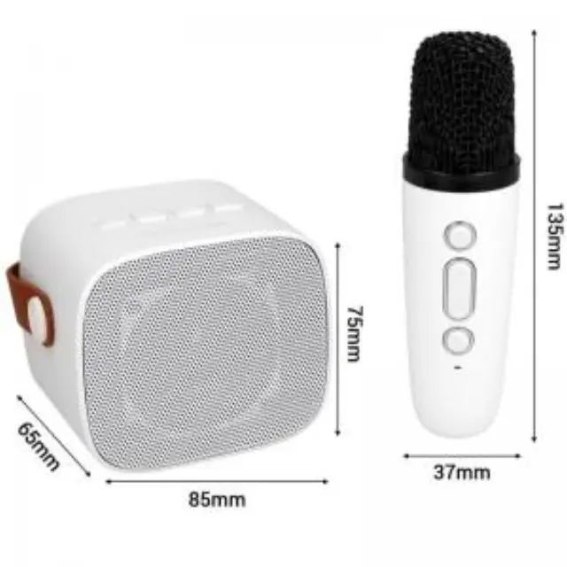 Φορητό Ηχείο Bluetooth Blavec WS-07 Karaoke Party με 2 Μικρόφωνα 5W Λευκό N71053 2