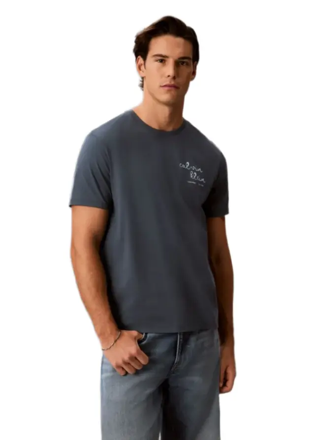 Calvin Klein ανδρικό t-shirt με γραφικό λογότυπο LV04RG837G-1 - XXL