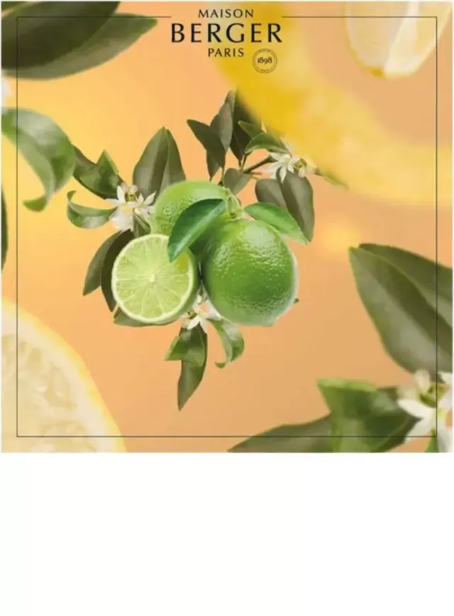 Maison Berger Paris Lampe Berger Refiil Υγρό Αναπλήρωσης Καταλυτικής Λάμπας Lemon Blossom 500ml 2