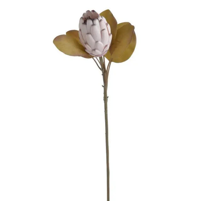 Πρωτέα λουλούδι κλειστό, ροζ 66cm