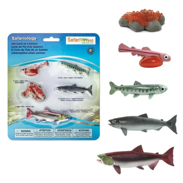 Safari Ltd Μινιατούρες Ο Κύκλος Ζωής Του Σολομού (4+ ετών) 100267