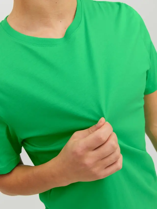 JJEORGANIC BASIC TEE SS O-NECK NOOS Island Green 2