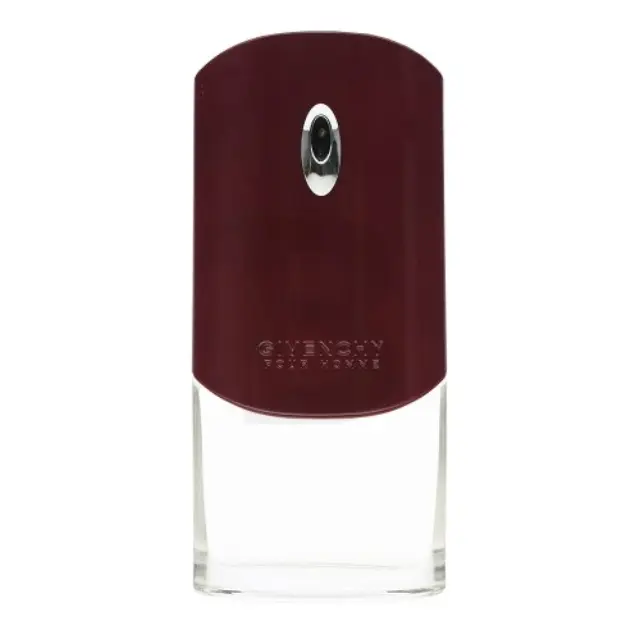 Givenchy Pour Homme Eau de Toilette for men 100 ml