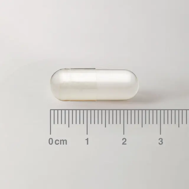 LAMBERTS L-Tyrosine 500mg - 60 Κάψουλες 2