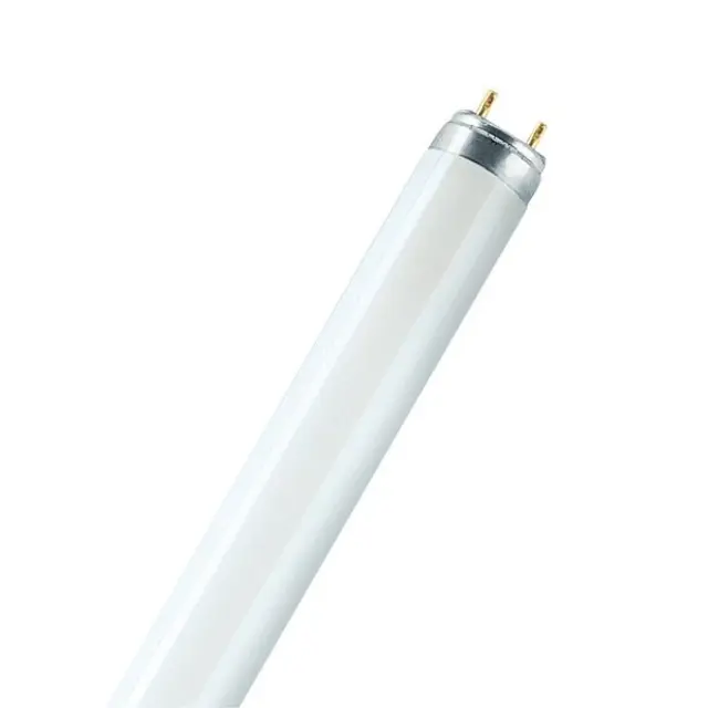 Standart T8 36 W/25-1-55 100cm