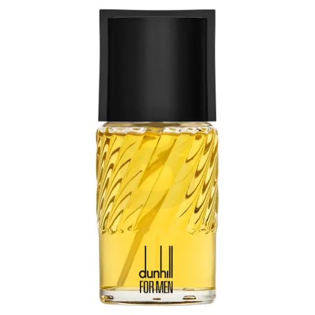 Dunhill Dunhill for Men Eau de Toilette for men 100 ml
