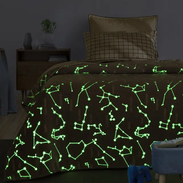 Κουβέρτα 160x220 Μονή Flash-Fleece Beauty Home 6252 Γκρι 100% Πολυέστερ 3