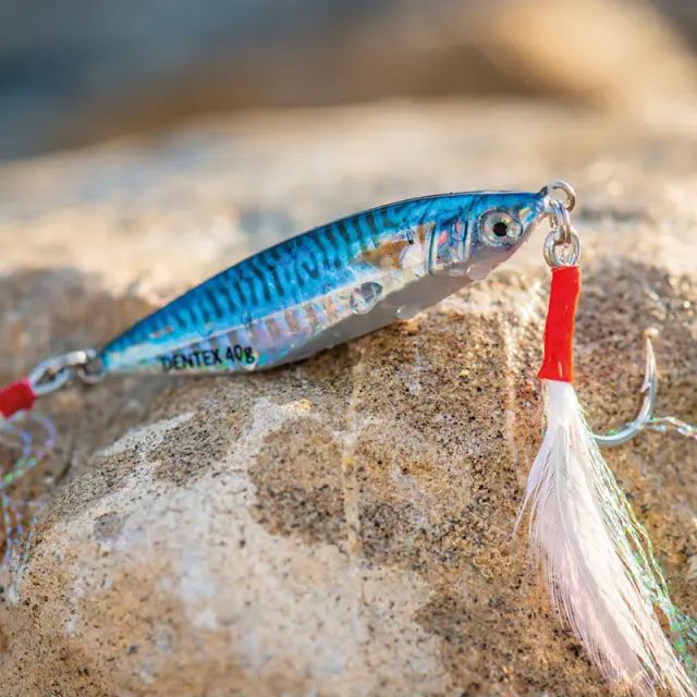 Πλάνος Akami Dentex Jig 30gr Comber 2