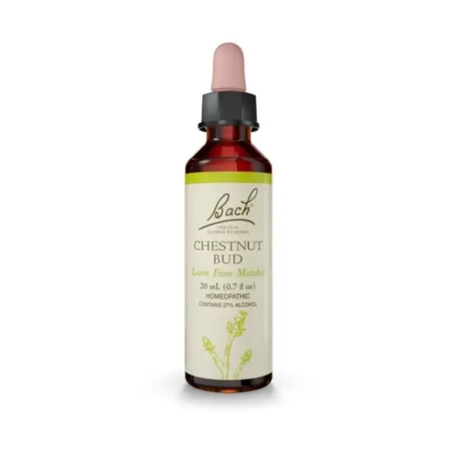 POWER Bach Chestnut Bud Ανθοΐαμα, 20ml