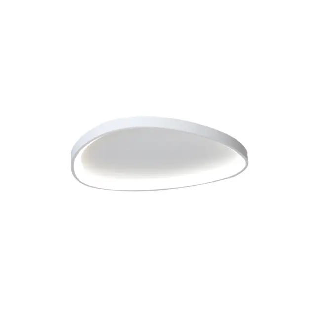 Inlight Πλαφονιέρα οροφής LED 25W 3CCT από λευκό μέταλλο και ακρυλικό D:61,5x5cm (42043-White)