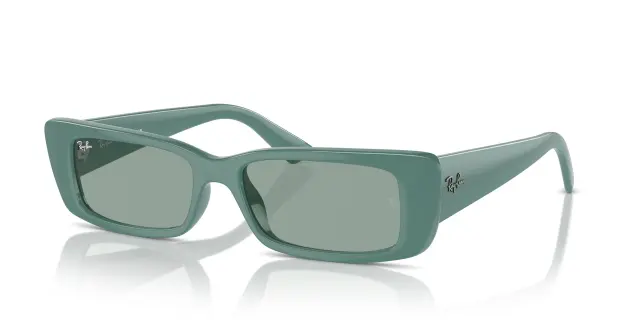 Γυαλιά Ηλίου Ray Ban TERU RB4425 676282 Μονόχρωμοι (Ray Ban) (RB4425 676282)