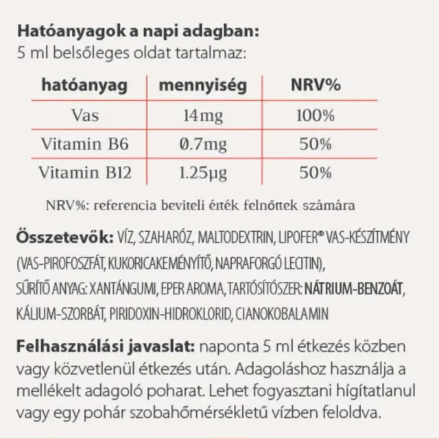 Vitaking VitaFer-L Iron Syrup 2