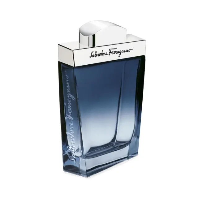 Salvatore Ferragamo Subtil Pour Homme Eau de Toilette for men 100 ml 2