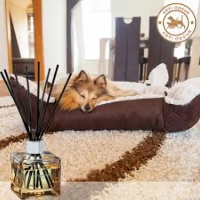 Maison Berger Paris Bouquet Διαχύτης Αρώματος Pet Diffuser Anti-odour κατά των Οσμών Κατοικίδιων 125ml 3