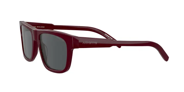 Γυαλιά Ηλίου Arnette AN 4279 1207/87 Μονόχρωμοι (Arnette) (AN 4279 1207/87) 3