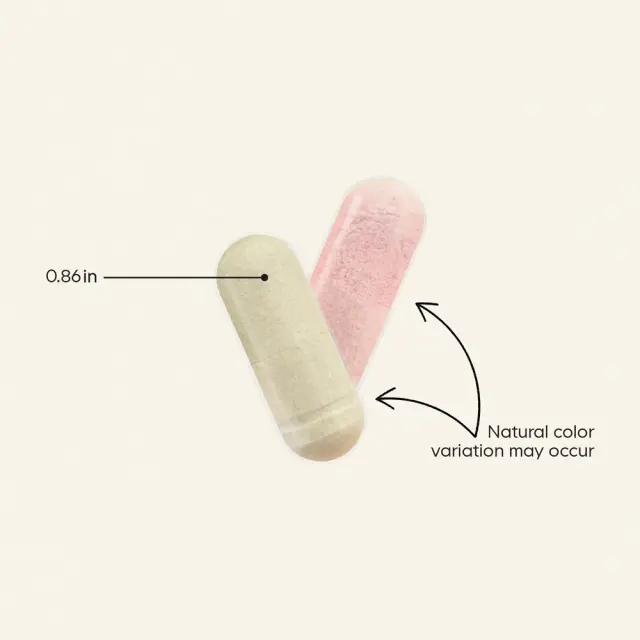 Codeage Teen Multivitamin 3