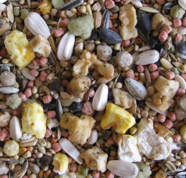 Deli Nature 5* Menu Australian Large Parakeets Μείγμα για Αυστραλέζικα Παπαγαλάκια Μεγάλου Μεγέθους 800gr Μονόχρωμο 2