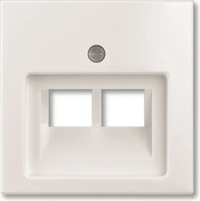 1803-02-94-507 Cover Plates (partly incl. Insert) UAE/IAE (ISDN) 2 gang alpine white - Basic55