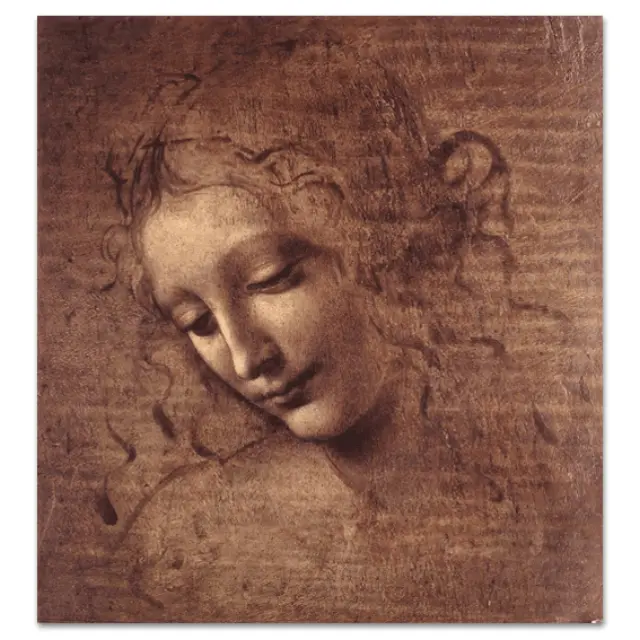Καμβάς Leonardo da Vinci - Γυναικείο Κεφάλι - 127x127