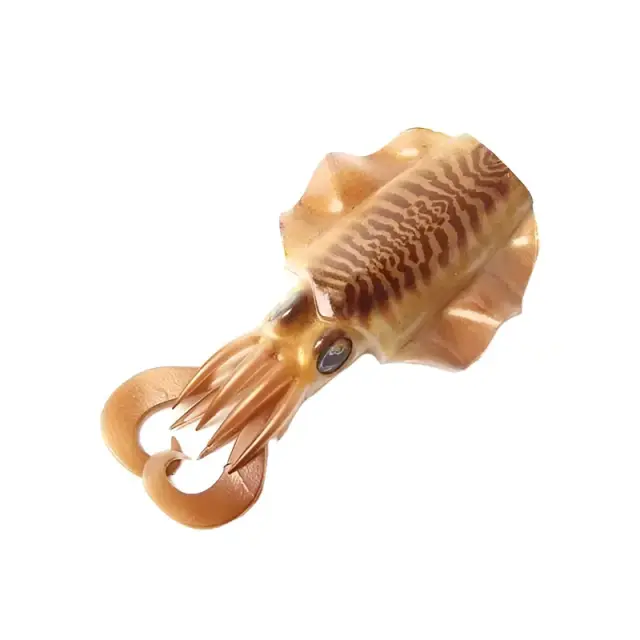 Ανταλλακτικό Σώμα JLC Xoco Body Real Glow