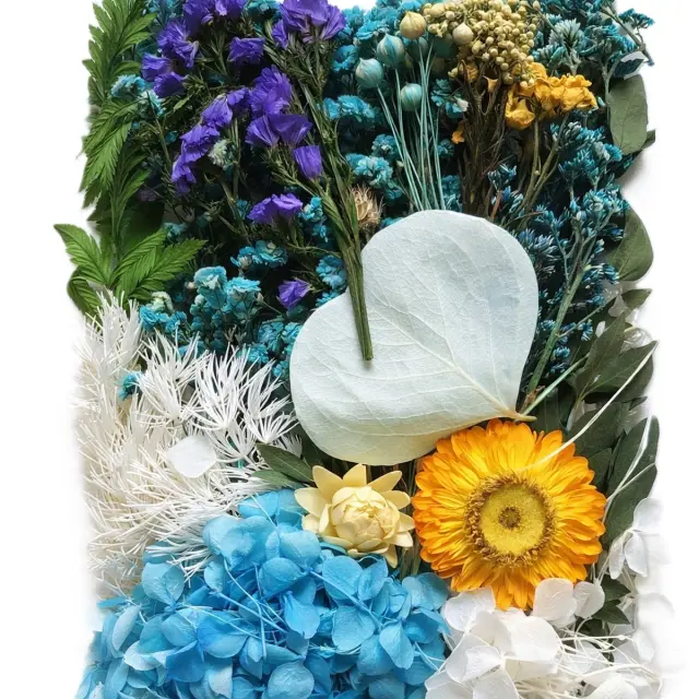 Αποξηραμένα λουλούδια mix, Exotic Blue