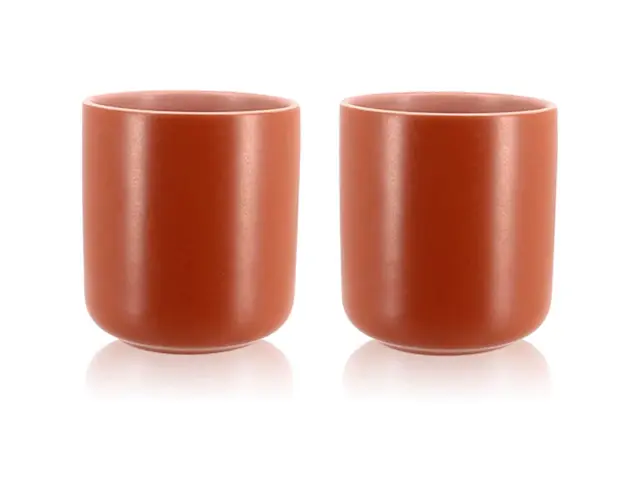 Σετ Κούπες Outo Ogo Living με χωρητικότητα 270ml - Paprika - 2 τεμάχια 7912115 3