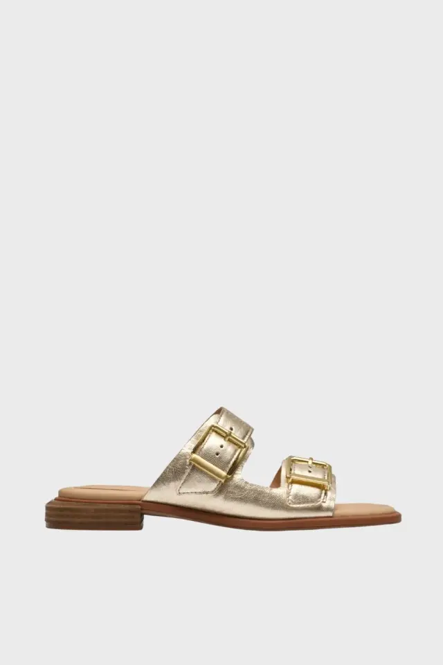 Ariany Bay Gold