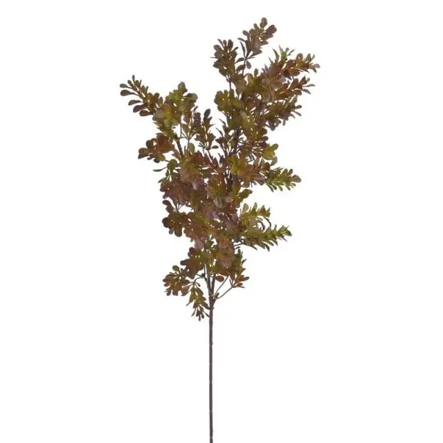 Κλαδί φυλλώδες πυξάρι 70cm, πράσινο-καφέ