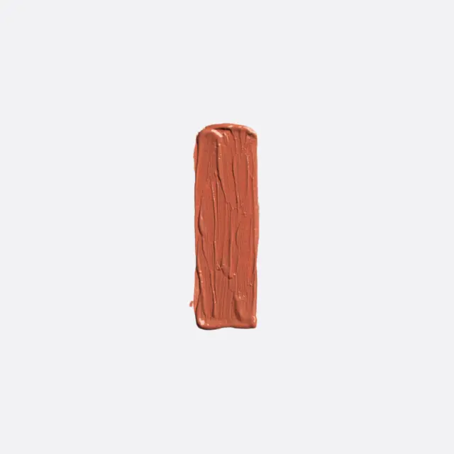 Elixir Forever Lip Mat Κραγιόν 205