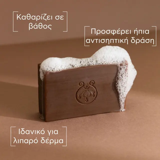 Apivita Φυσικό Σαπούνι με Πρόπολη Για Την Υγεινή Της Λιπαρής Επιδερμίδας, Μπάρα 125gr 3