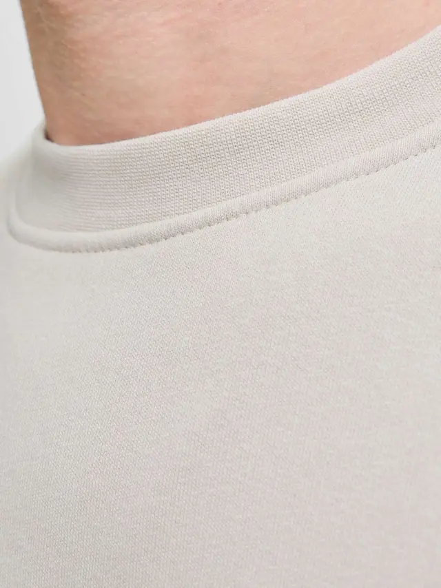 JJESOHO SWEAT CREW NECK NOOS Moonbeam 2