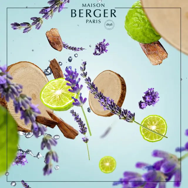 Maison Berger Paris Lampe Berger Refill Υγρό Αναπλήρωσης Καταλυτικής Λάμπας Fresh Wood 500ml 3
