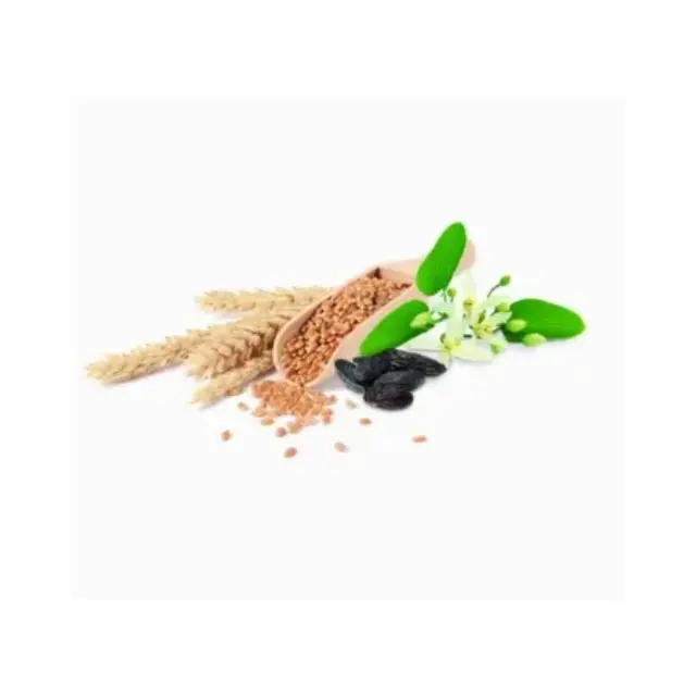Maison Berger Paris Lampe Berger Refill Υγρό Αναπλήρωσης Καταλυτικής Λάμπας Golden Wheat 500ml 2