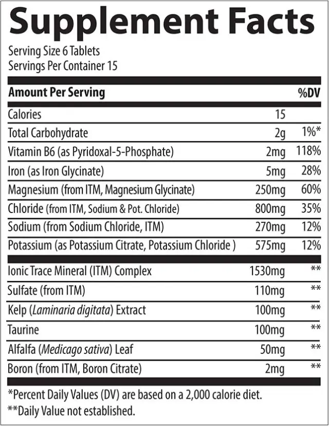 Trace Minerals Electrolyte Stamina 2