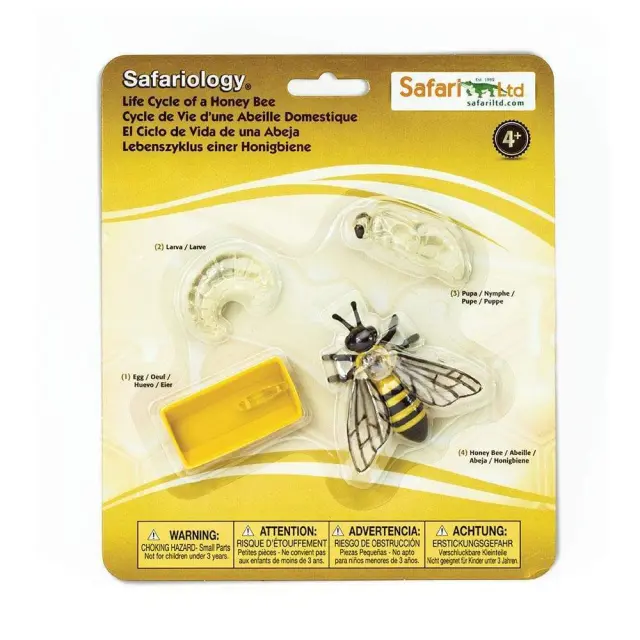 Safari Ltd Μινιατούρες Ο Κύκλος Ζωής μιας Μέλισσας (4+ ετών) 622716 3