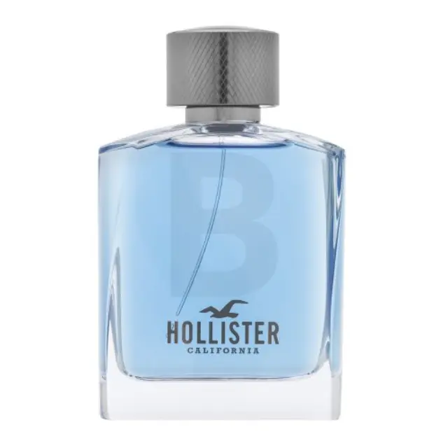 Hollister Wave For Him Eau de Toilette for men 100 ml