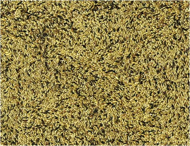 Vadigran Canaries Ολοκληρωμένη Τροφή για Καναρίνια 1kg 2
