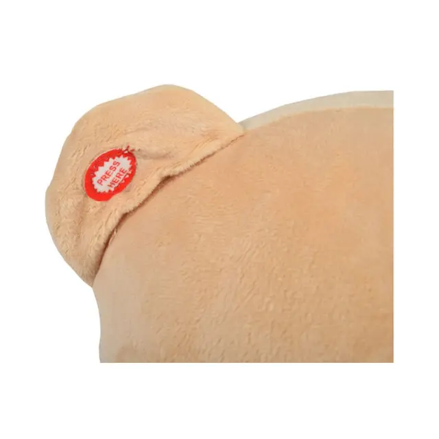 Cangaroo Bear Λούτρινο Κουνιστό Αρκουδάκι Με Ήχους και Ξύλινη Βάση 3800146242190 3