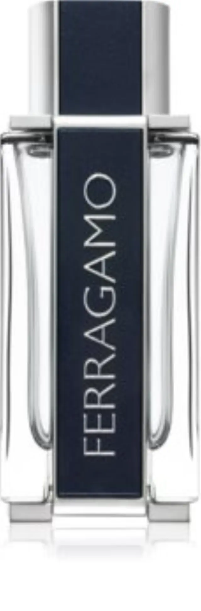 Salvatore Ferragamo Ferragamo Eau de Toilette for men 100 ml