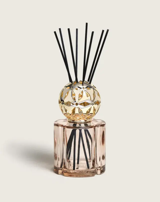 Maison Berger Paris Διαχύτης Αρώματος με stick s Pomelis Scented Bouquet Nude 3
