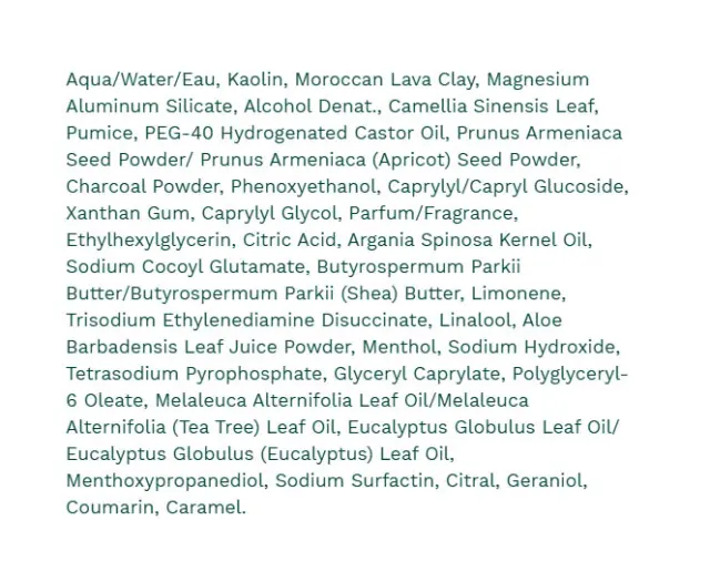 The Body Shop Charcoal Pore-Minimising Mask 2