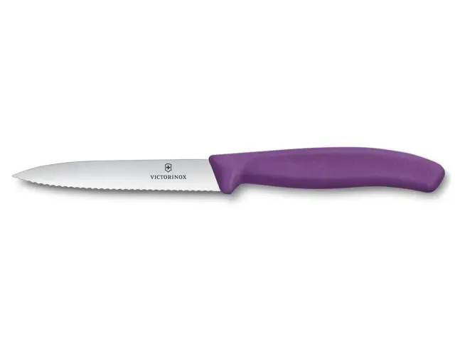 Μαχαίρι Γενικής Χρήσης Victorinox Swiss Classic με μήκος λεπίδας 10cm - Purple6.7735.C1 2