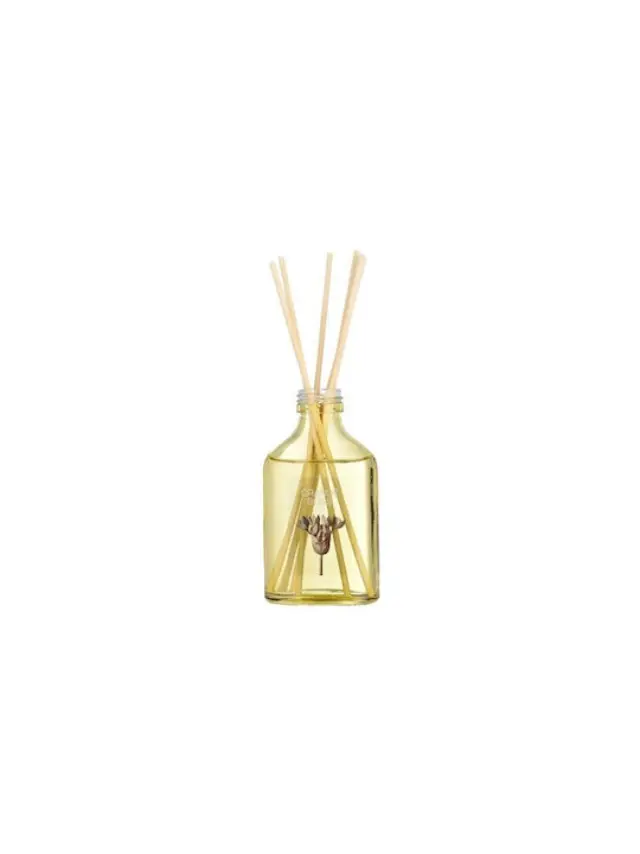 Αρωματικό Χώρου με Στικ Orange Bliss 100ml / 01-36430 (Estia) 2