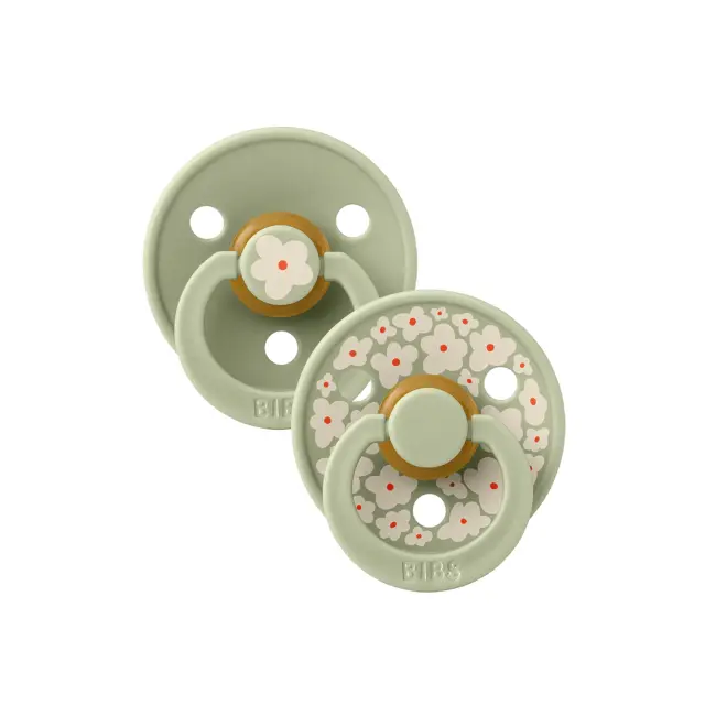 Σετ 2 Πιπίλες Studio Collection Colour Jasmine Sage Mix (6-18 μηνών) – Bibs