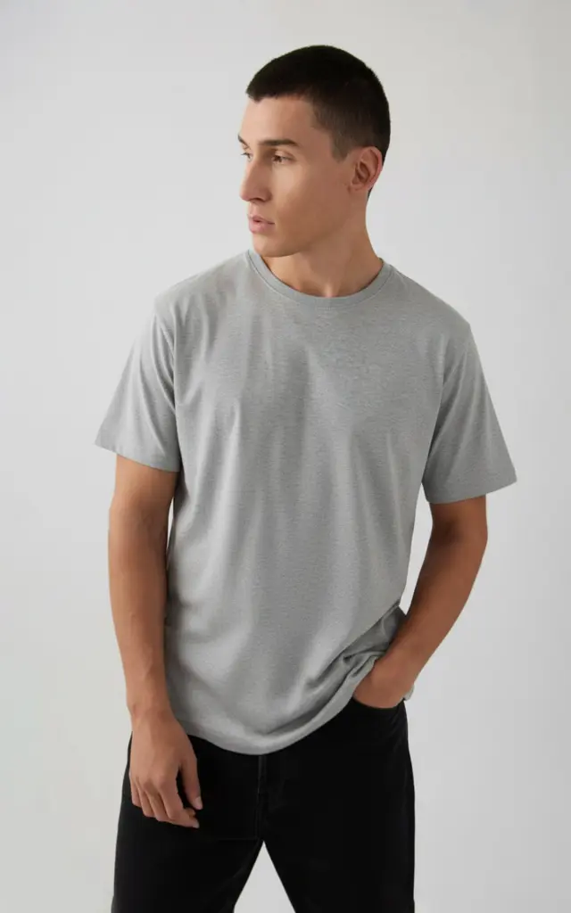 Ανδρικό Βαμβακερό T-Shirt με κλειστή λαιμόκοψη Minerva - Γκρι Μελ. - S