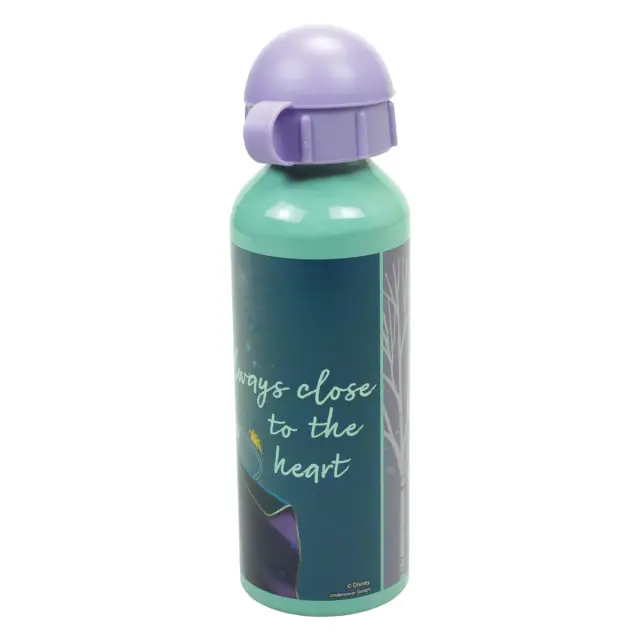 Παγούρι αλουμινίου με στόμιο Disney Frozen 520ml 3
